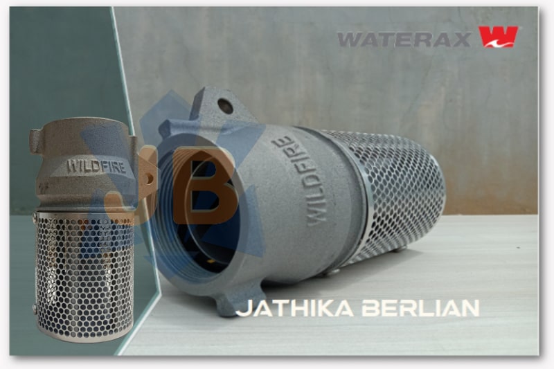 Foot Valve Strainer 2 Inch