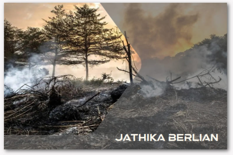 dampak dan penyebab karhutla di jambi